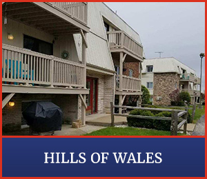 Hills of Wales Hills of Wales